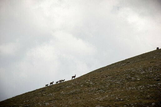 MG_4565_A22