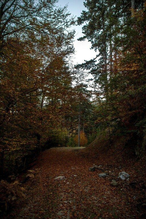 ktima-bellou-offroad-routes-2